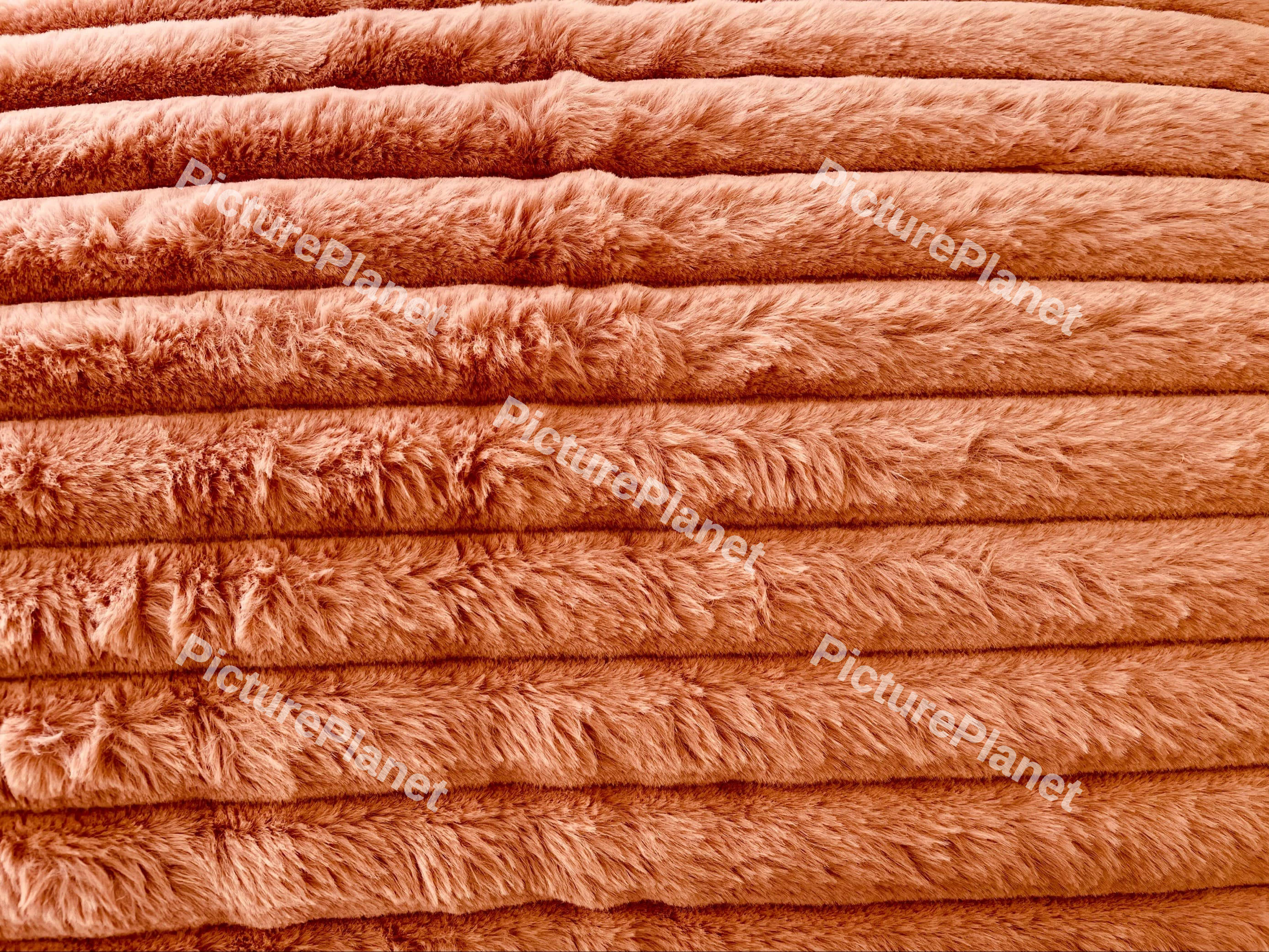 Close Up Of Soft Furry Cover